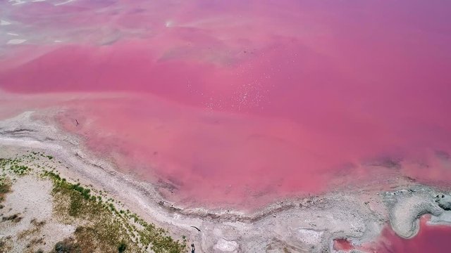 Looking down at the shoreline of the Great Salt Lake in pink due to halophilic bacteria as the sun sparkles on the water.