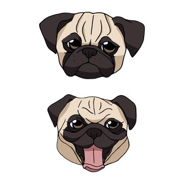 Set of two cute cartoon pug heads isolated on white background. Vector dog illustration