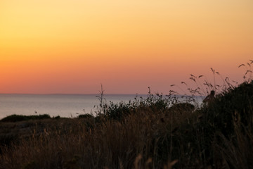 Obraz premium sunset over field