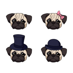 Set of four cute cartoon pug heads with different accessories isolated on white background. Vector dog illustration