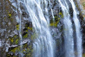 waterfall in forest