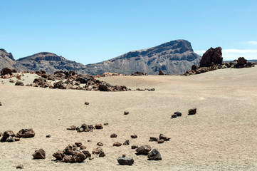 Fototapeta na wymiar Volcanic landscape in Tenerife Spain
