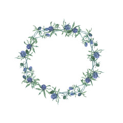 Blue fewer-weed branches frame isolated on white background. Hand drawn watercolor illustration.