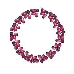 Elegance frame with fresh dark grape berries isolated on white background. Hand drawn watercolor illustration.