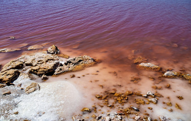 Laguna Salada in Torrevieja, Spain. Pink Salted lake. Salinas Natural Park.