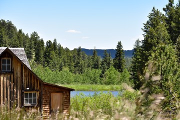 Cabin in the wilderness 