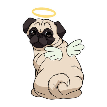 Cute pug with angel wings and nimbus isolated on white background. Vector dog illustration. Funny cartoon character