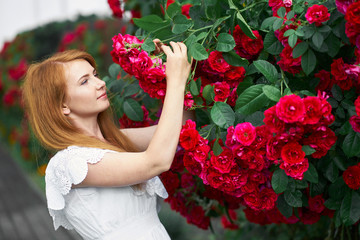 Portrait of a pretty redhead girl dressed in a white light dress on a background of blooming roses. Outdoor.