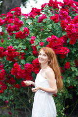 Portrait of a pretty redhead girl dressed in a white light dress on a background of blooming roses. Outdoor.