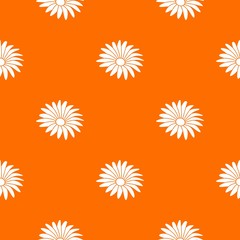 Fototapeta na wymiar Gerber flower pattern vector orange for any web design best