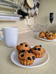 cookies and cup of coffee