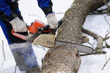 Close-up of woodcutter sawing chainsaw in motion, sawdust fly to sides.