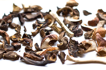 Dried mushrooms on white background