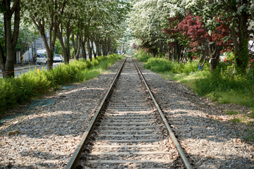 Fototapeta na wymiar railway in forest