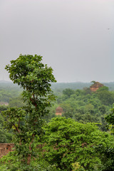 Teak forest with ancient ruins at the palace of Orchha, India