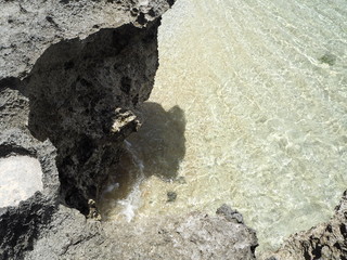波照間島の名所、浜シタン群落のビーチ/Hateruma Island “Hama Shitan Gunraku (Beach Rosewood Community) ”. Hateruma Island in Ishigaki City, Okinawa Prefecture is Japanese southernmost manned island.