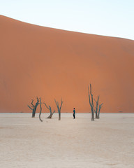 Fototapeta na wymiar Deadvlei, Namibia