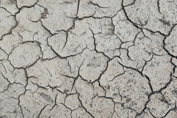 Piece of dried and cracked soil seen from above.