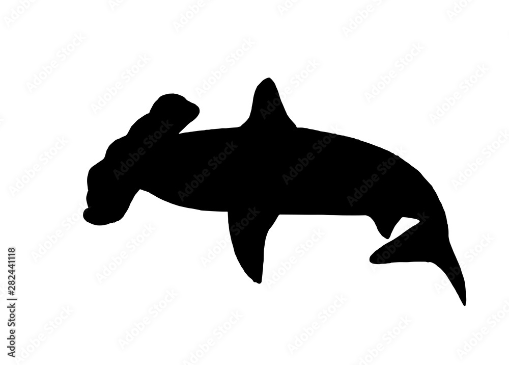 Wall mural Graphical silhouette of  hammerhead shark isolated on white background,vector illustration,sea-food icon