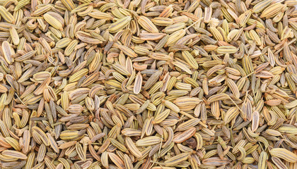 close up fennel seed texture background