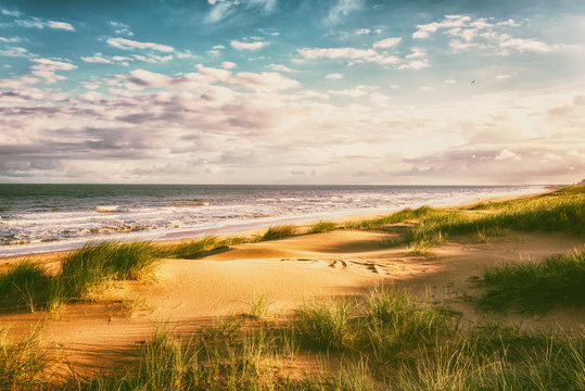 Amazing nature landscape with sand dunes, green grass, sea and fantastic blue sky with clouds. Natural outdoor travel background, Northern sea, Netherlands, vintage image