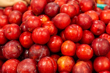 Fresh red plums