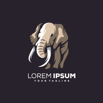 awesome brown elephant logo design