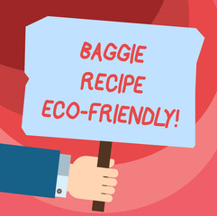 Word writing text Baggie Recipe Eco Friendly. Business concept for shopping bag which can be reused analysisy times Hu analysis Hand Holding Blank Colored Placard with Stick photo Text Space