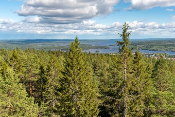 Swedish wood landscape with lake
