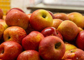 Red and yellow apples