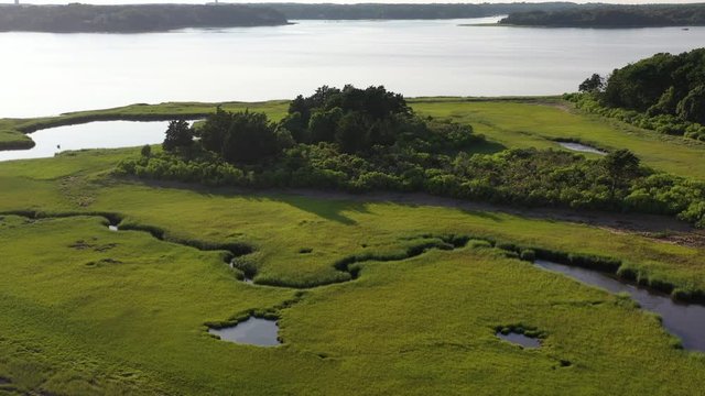 A healthy salt marsh grows in Pleasant Bay, Cape Cod, Massachusetts. This type of marine habitat serves as a nursery for fish and invertebrates and a feeding ground for many species of bird.