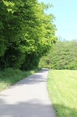 A trip into the beautiful nature