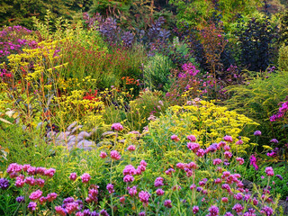 Horizontal image of a large country garden filled with colorful perennial flowers in morning light in fall (autumn)