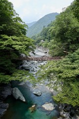 祖谷のかずら橋 日本の四国地方　徳島県にある葛でできた橋です　祖谷のかずら橋観光名所です