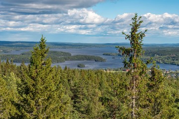 Fototapeta na wymiar Scandinavian landscape with lakes