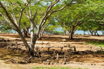 Fototapeta premium Graves of the first residents of La Isabella settlement in Puerto Plata, Dominican Republic. La Isabella was founded by Christopher Columbus in 1493.
