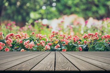 Mock up perspective empty top wooden board with Numerous bright flowers of tuberous begonias (Begonia tuberhybrida) in garden.