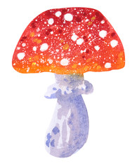 Mushroom Amanita muscaria, hand drawn watercolor illustration isolated on white.
