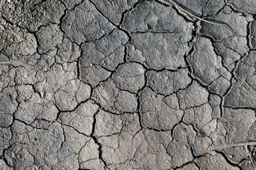 Mud (dried clay) as natural background.
