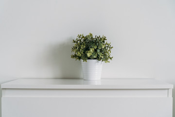 Green artificial plant on white wall background, minimalist style