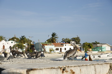 the beach