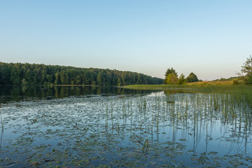 Lake view on an early summer morning