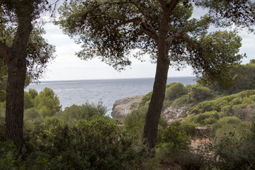 Fototapeta na wymiar Panorama Meer Mallorca
