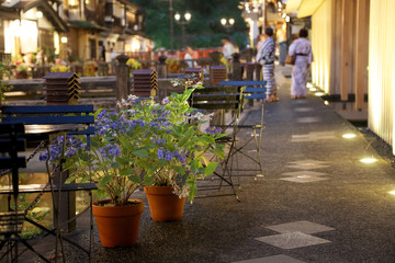 銀山温泉通りの鉢植えの額紫陽花