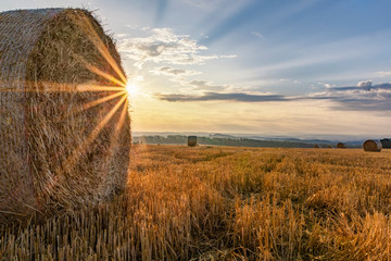  Blick zum Wasserturm von Syrau im Vogtland