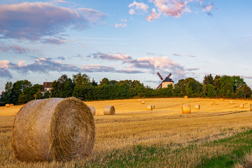 Blick über einen Acker zur Windmühle in Syrau, Sachsen