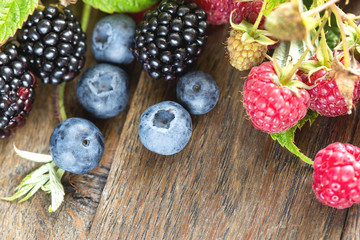 Fresh organic forest berries, forest fruits closeup on table