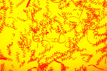 Yellow-red abstract background. Lines and figures splashes