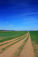 Fototapeta na wymiar Dirt country road in a green field