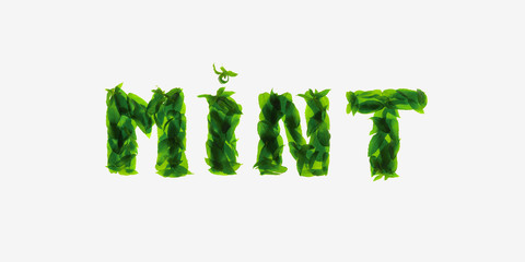 Mint leaves isolated on white background. The inscription calligraphic font: freshness.